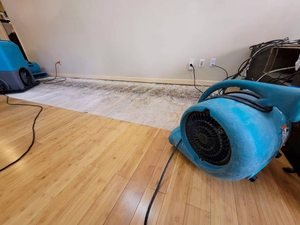 Professional Basement Flood Cleanup technician working in Dilley, TX